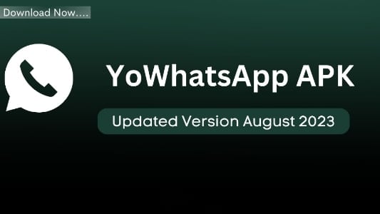 Informasi-Seputar-Tentang-Yo-Whatsapp-New-Version