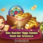 Toko-Voucher-Higgs-Domino